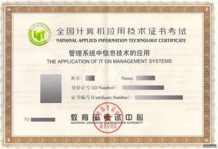 計(jì)算機(jī)應(yīng)用技術(shù)專業(yè)自考學(xué)習(xí)指南 掌握核心技能，開啟職業(yè)發(fā)展的新篇章